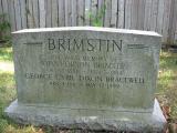 image number BrimstinVida